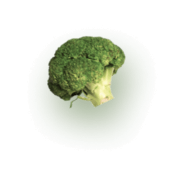 intro